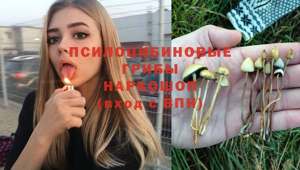 стафф Горно-Алтайск