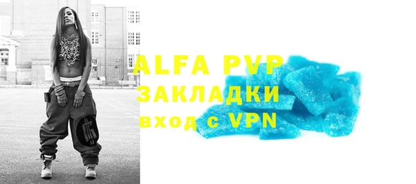гашик Ельня