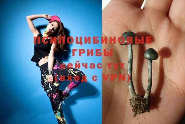 твердый Беломорск