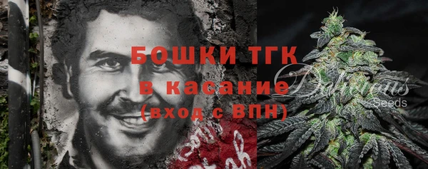 прущие грибы Белоозёрский